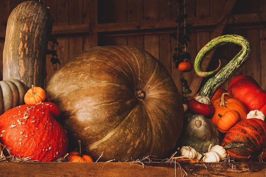 Was steckt hinter Allerheiligen und Halloween?